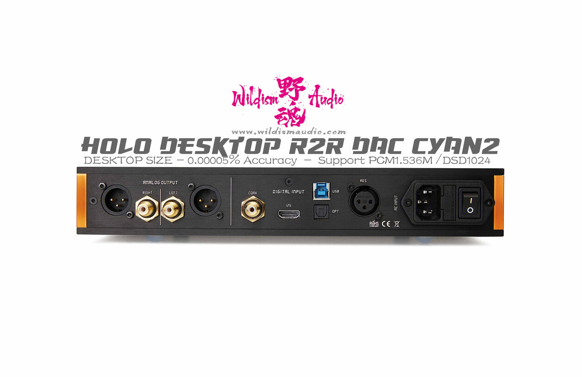 Holo Audio New Era CYAN 2 Desktop size R2R DAC Support DSD1024/PCM1.53 ...
